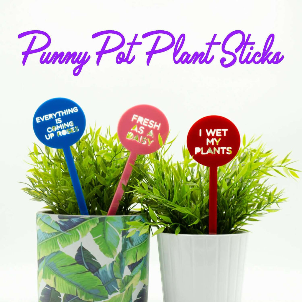 The stakes are high... punny plant stakes now available!